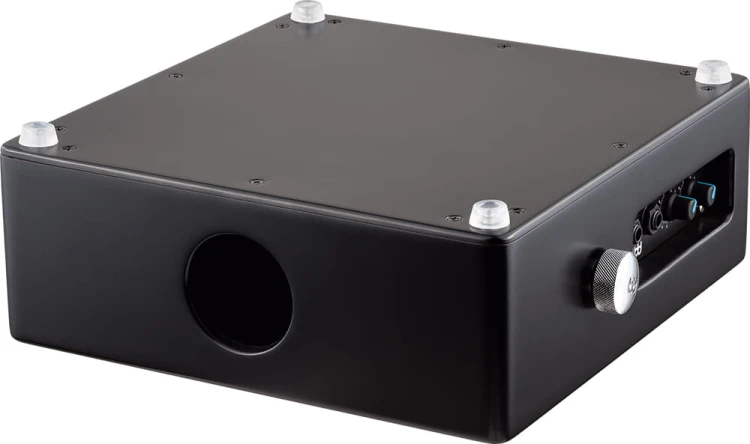MEINL-Percussion-Professional-Pickup-Cajon-Snare-schwarz-TMPPCS_66f21cf.jpg