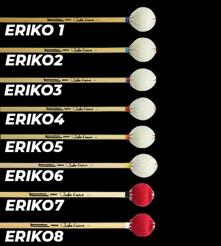 Eriko Group Photo.jpg
