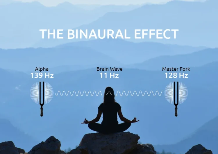 MEINL-Sonic-Energy-Binaural-Therapy-Tuning-Fork-Alpha-139-Hz-TTF-ALPHA_18686d3_11zon.webp