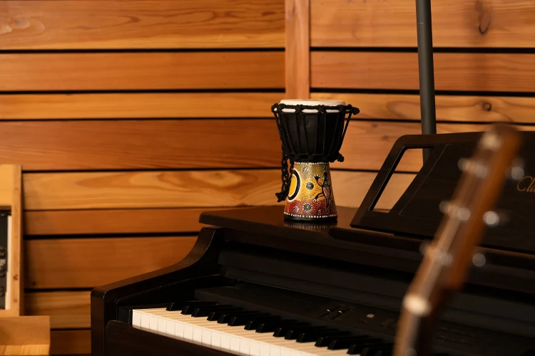 MEINL Percussion African Style Mini Djembe 4 1 2 gecko design  3_11zon.webp