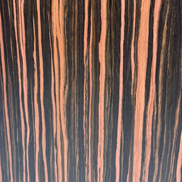 CA-4PB11.webp