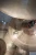 MEINL Cymbals Byzance Brilliant Polyphonic Splash - 10 14_11zon.webp
