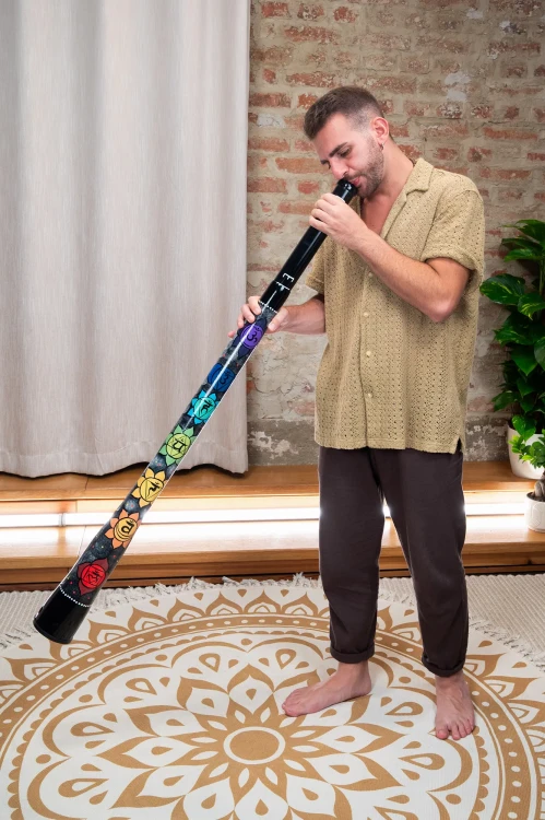 meinl-sonic-energy-chakra-didgeridoo