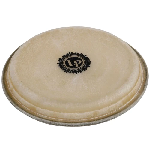 lp-lp663b-bongo-head-city-ez-7